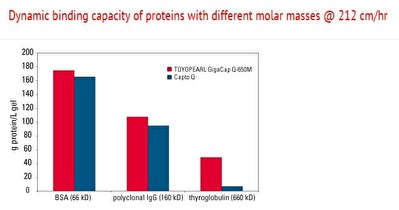 Dynamic binding capacity of proteins with different molar masses Dynamic binding capacity of proteins with different molar masses