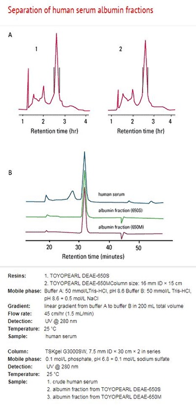 Separation of human serum albumin fractions Separation of human serum albumin fractions