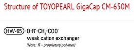 Structure of Toyopearl GigaCap CM-650M Structure of Toyopearl GigaCap CM-650M