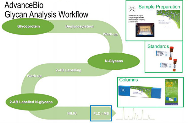 AdvanceBio Glycan Analysis Workflow AdvanceBio Glycan Analysis Workflow
