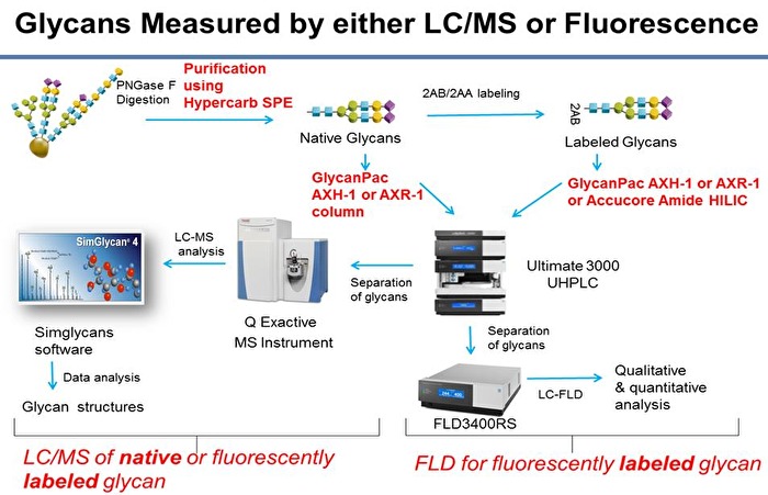 Thermo Scientific - Glcyans Measured by either LC/MS or Fluorescence Thermo Scientific - Glcyans Measured by either LC/MS or Fluorescence