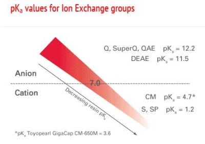 pka values for Ion Exchange groups pka values for Ion Exchange groups