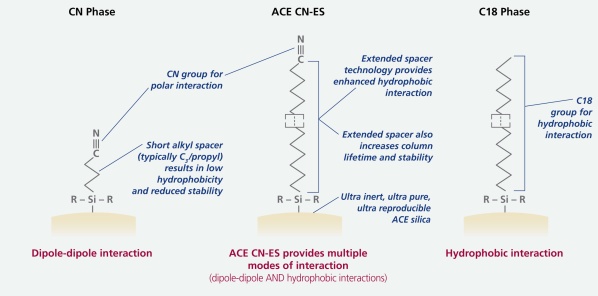 ACE CN-ES