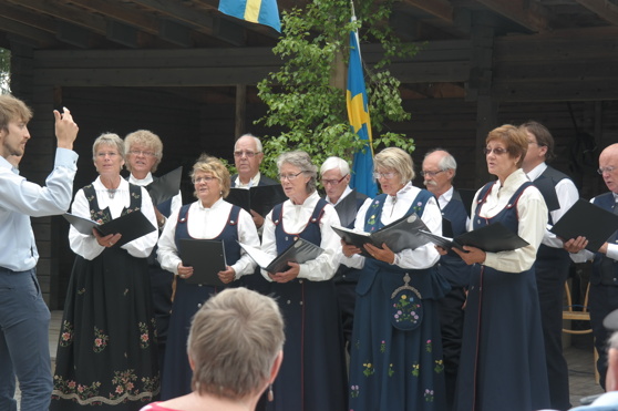 Kören Lärkorna sjunger i Fornminnesparken på nationaldagen 2014