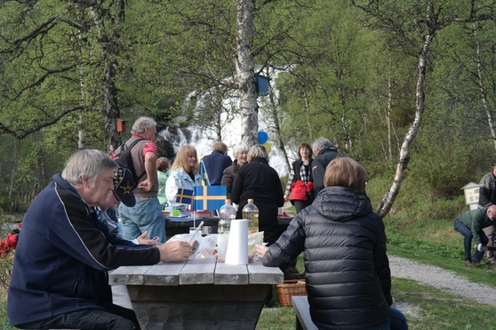 Tänndalsfirare vid Andersåfallet nationaldagen 2014