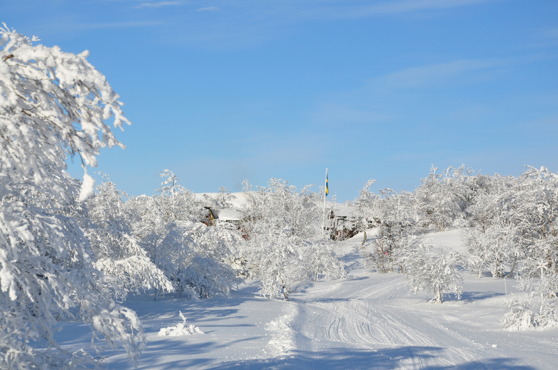 Andersborg i vinterskrud                    Foto: Pelle Lindelöf