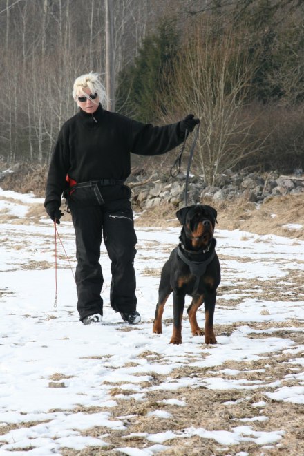 Jag och Kato spårar 2010 Jag och Kato spårar 2010