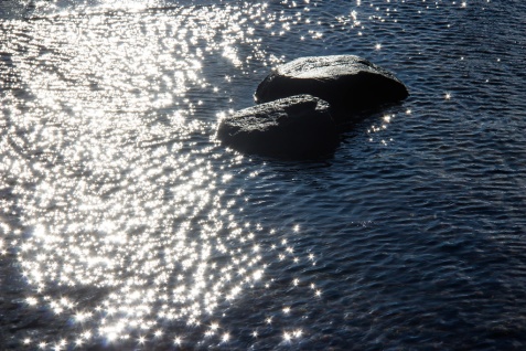 Sommar, sommar & sol, havet och vinden och doft av kaprifol... Kesä, kesä & aurinko, meri ja tuuli ja kuusamantuoksu.... Sommar, sommar & sol, havet och vinden och doft av kaprifol... Kesä, kesä & aurinko, meri ja tuuli ja kuusamantuoksu....