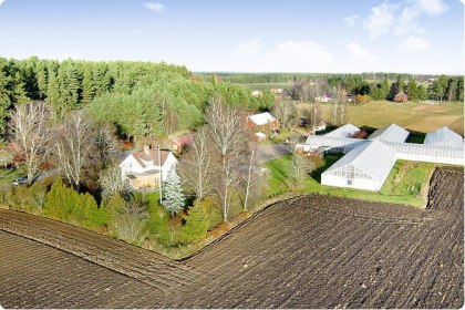 Habblarp Trädgårdar - din handelsträdgård Habblarp Trädgårdar - din handelsträdgård