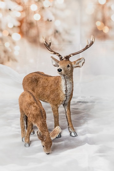 Fotograf Marika T Styhr, Borlänge