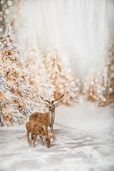 julfotograferig i Gustafs