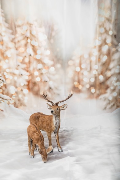 julfotografering Marika T Styhr