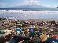 Foto: NOAA Marine Debris Program Foto: NOAA Marine Debris Program