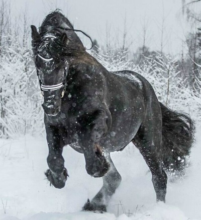 Min Valack Harald Min Valack Harald