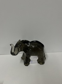 39121. Elefant, Paul Hoff