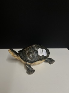 39811. Sköldpadda (såld)