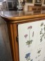 62641. Skänk ”nordens flora”