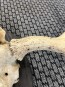 64361. Trofé älg