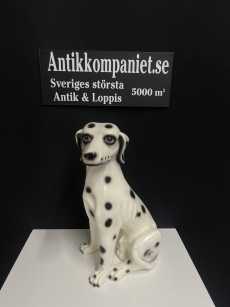 65641. Hund dalmatin