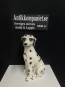 65641. Hund dalmatin