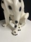 65641. Hund dalmatin