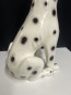 65641. Hund dalmatin