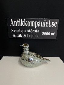 66461. Glasfågel