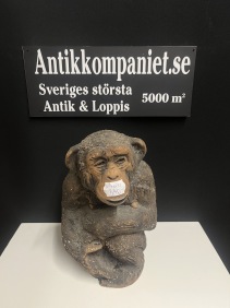 68231. Chimpans Tilgmans
