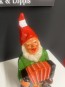 69161. Tomte