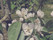 Fruktblommor