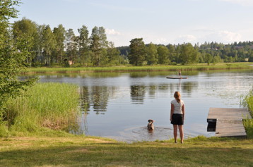 Barn och hund tar ett kvällsdopp vid badplatsen Barn och hund tar ett kvällsdopp vid badplatsen