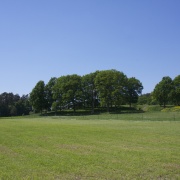 Litenbal