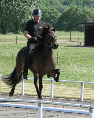 Hervör received 8.37 for ridden abilities five years old Hervör received 8.37 for ridden abilities five years old