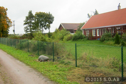 Fortsätt till Villastängsel