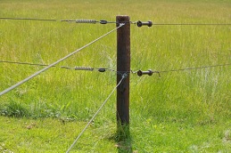 elstängsel elstängsel