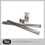Tolle fork tubes with dampers & progressive springs/ Hydra