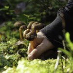 Trattkantarell Cantharellus tubaeformis-5754