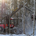 Skördare avverkar träd vinter 1210_Mogodsåsen HF8_0012_3_5_tonemapped