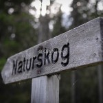 Skylt naturskog Vällingsjö NR-4393