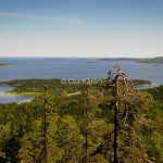 Skuleskogen Höga kusten-0689