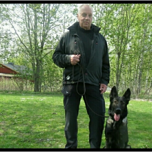 Fazita mh åh uppflyttad till lkl spår Fazita mh åh uppflyttad till lkl spår