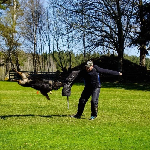 Grattis Disco första certet i elit skydd Grattis Disco första certet i elit skydd