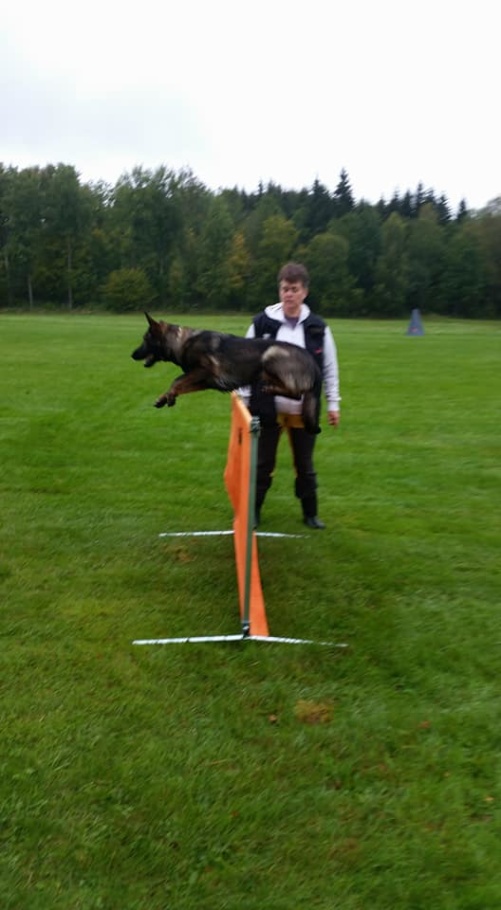 Grattis till fin debut i elit sök med extremt bra special Grattis till fin debut i elit sök med extremt bra special