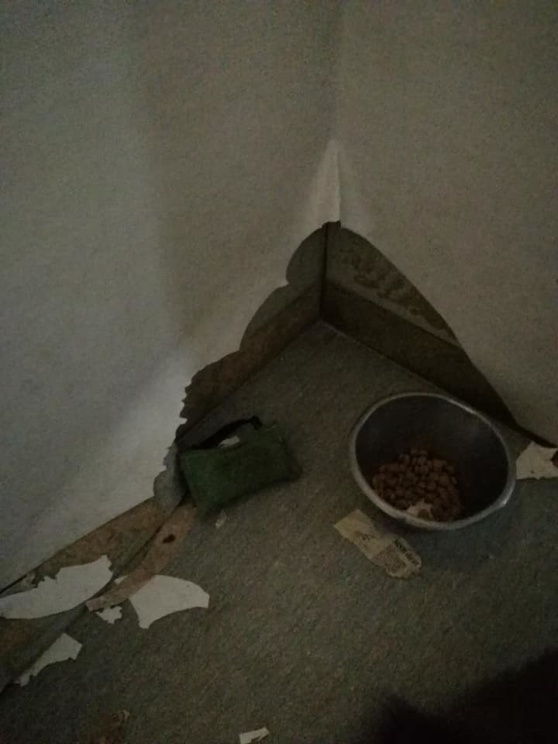 nattens arbete av Exi å Humla nattens arbete av Exi å Humla