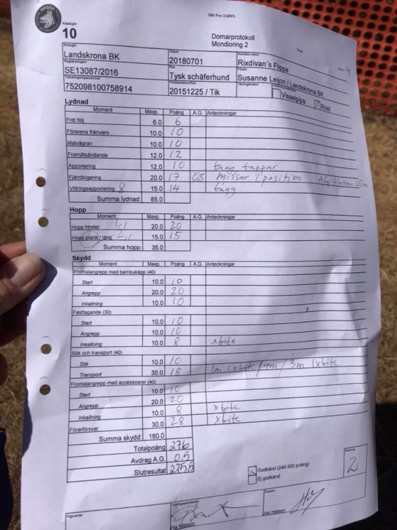 Flippa resultat Flippa resultat