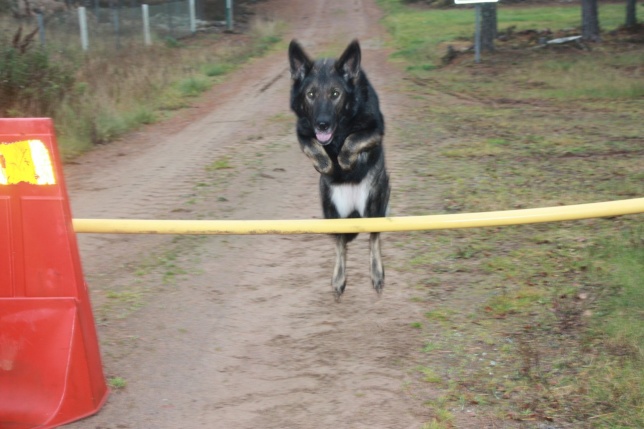 Rixi likes to jump=)