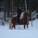 Jag rider Elding för andra gången!