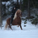 Jag rider Elding för andra gången!