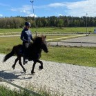 Vilja från Stora Sättra