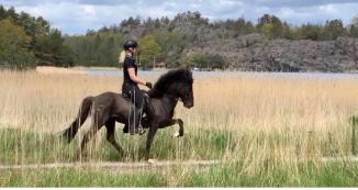 Veisla från Oxhagen